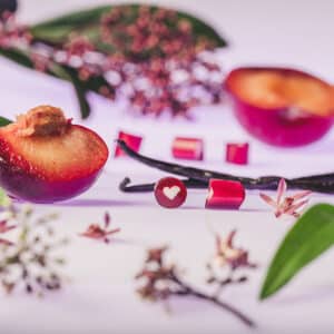 Pflaume VanilleDET 4876 2